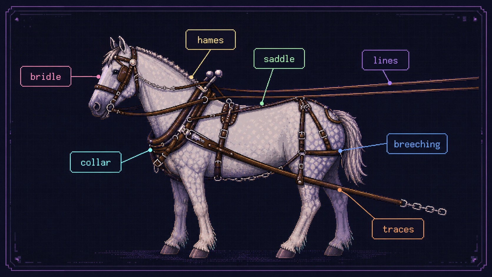 A horse Harness